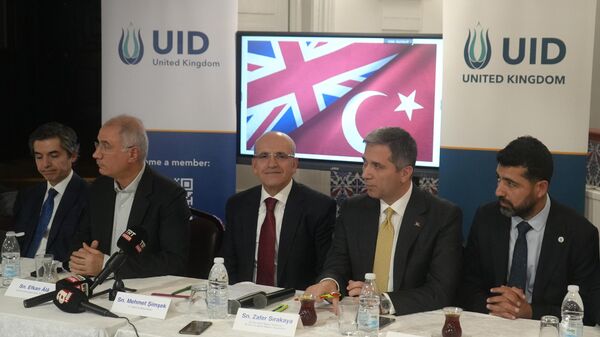 Bakan Mehmet Şimşek - Sputnik Türkiye