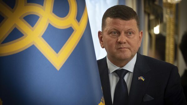 Valeriy Zaluzhny - Sputnik Türkiye