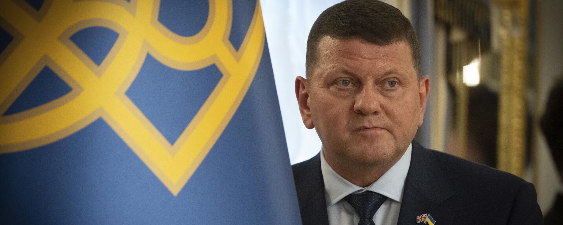 Valeriy Zaluzhny - Sputnik Türkiye, 1920, 01.12.2025