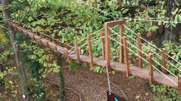 Samsun'da ormanın içine köprü yapıldı: 'Sincap köprüsü hayvanların geçişini kolaylaştıracak' - Sputnik Türkiye