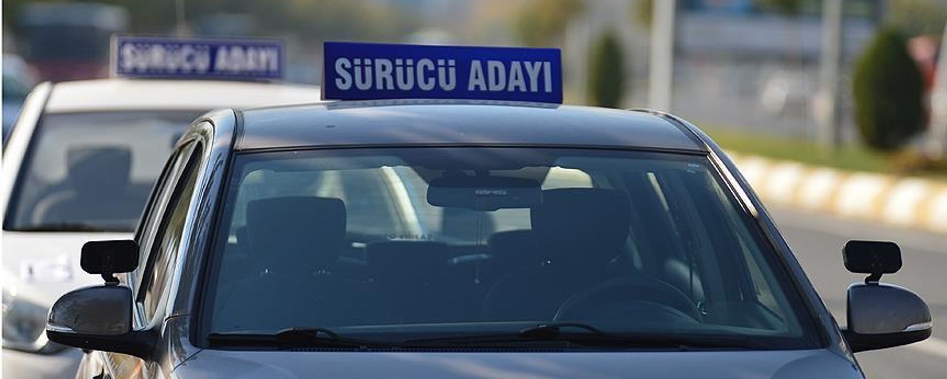 Aday sürücü - Sputnik Türkiye, 1920, 02.12.2025