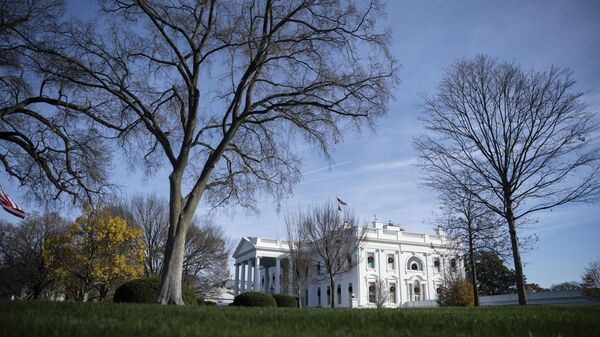 Beyaz Saray - Sputnik Türkiye