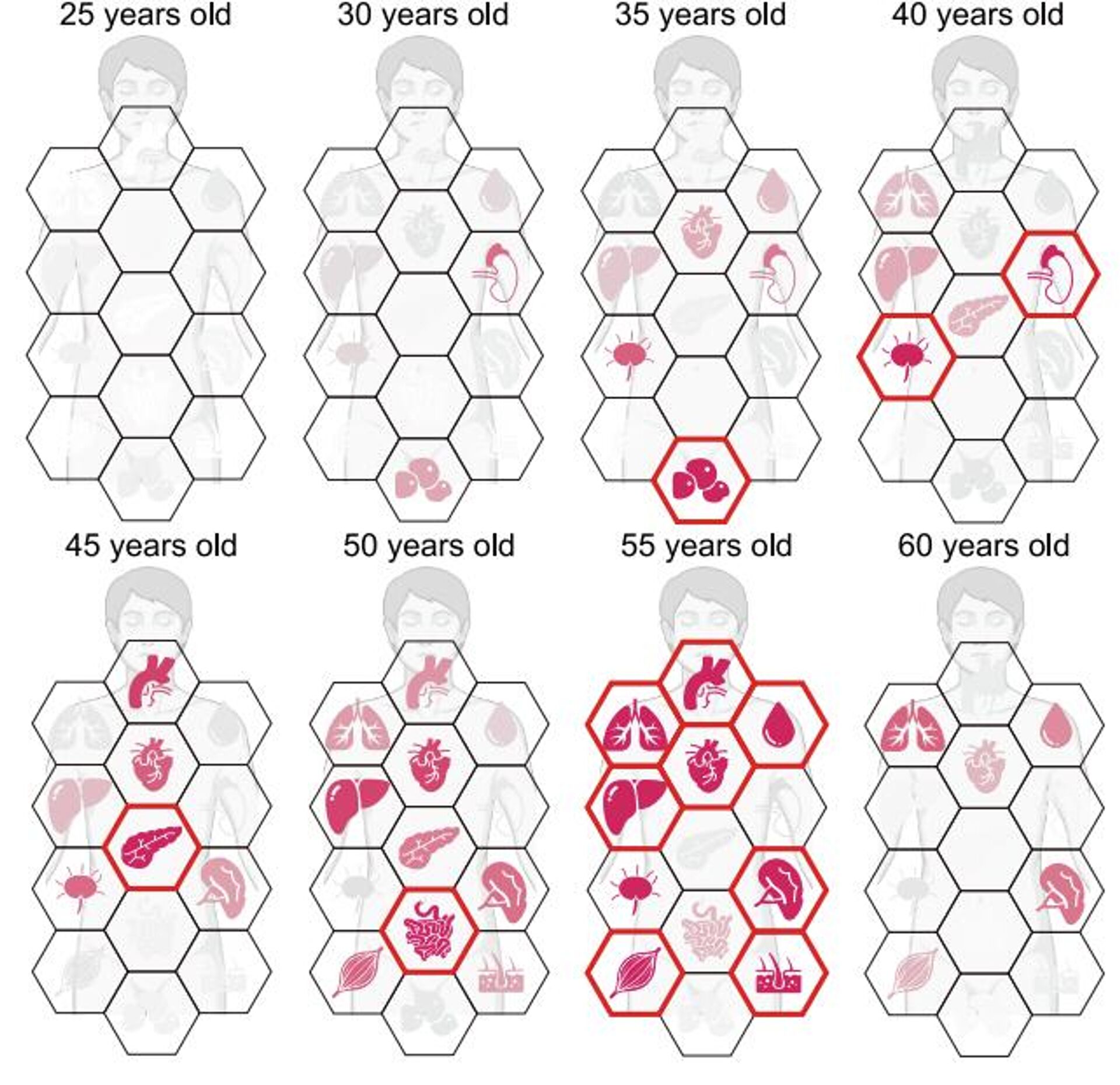 Vücudun hızla yaşlanmaya başladığı dönüm noktası yaşı açıklandı - Sputnik Türkiye, 1920, 02.12.2025