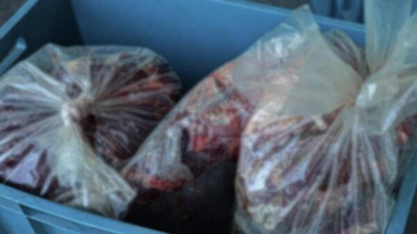 Kaçak et - Sputnik Türkiye