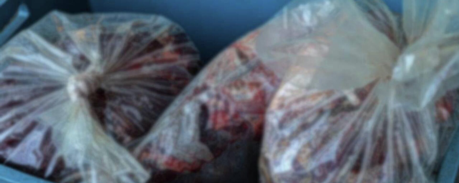 Kaçak et - Sputnik Türkiye, 1920, 03.12.2025