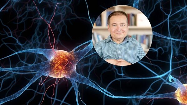 Profesör Onur Güntürkün - Sputnik Türkiye