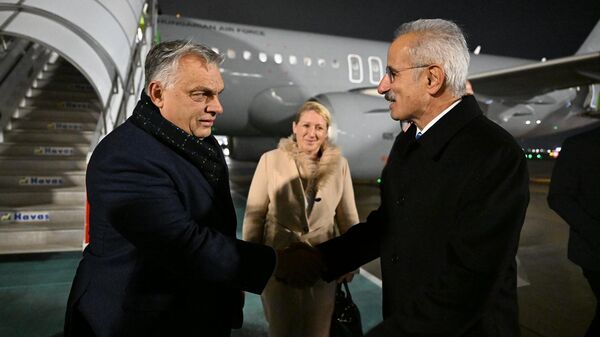 Macaristan Başbakanı Viktor Orban, İstanbul'a geldi - Sputnik Türkiye