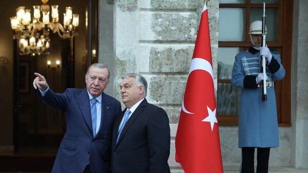 Cumhurbaşkanı Erdoğan, Macaristan Başbakanı Orban'ı resmi törenle karşıladı
 - Sputnik Türkiye