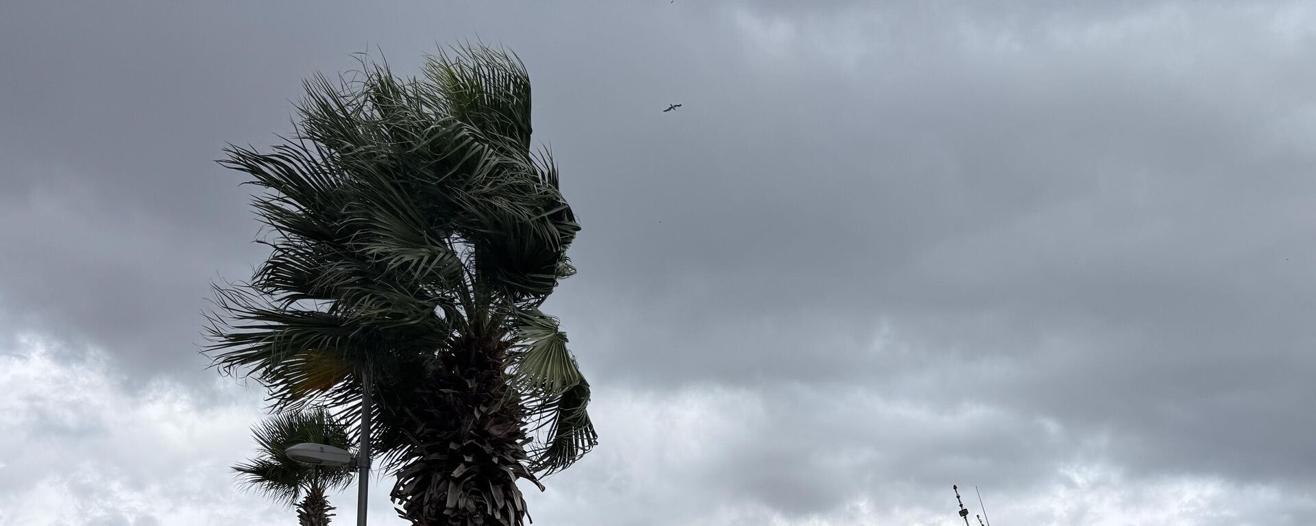 Fırtına - Sputnik Türkiye, 1920, 09.12.2025