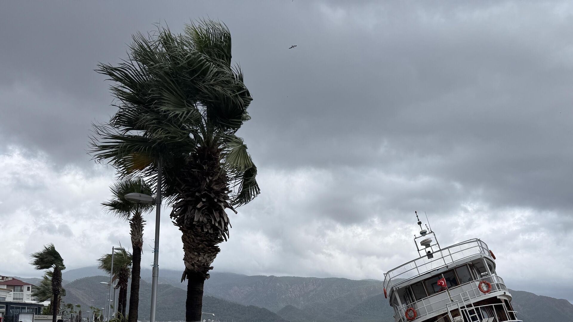 Fırtına Fırtına - Sputnik Türkiye, 1920, 09.12.2025