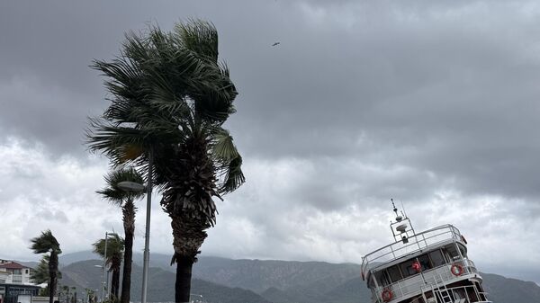 Fırtına - Sputnik Türkiye