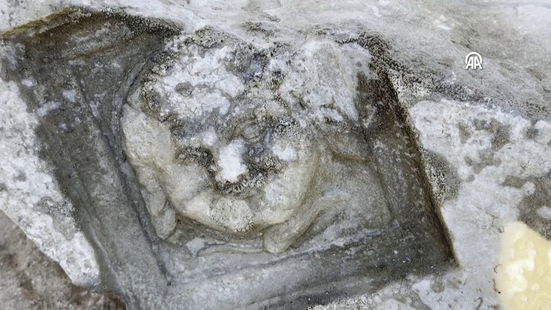 Medusa  - Sputnik Türkiye, 1920, 09.12.2025