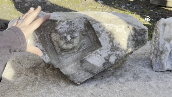 Medusa  - Sputnik Türkiye