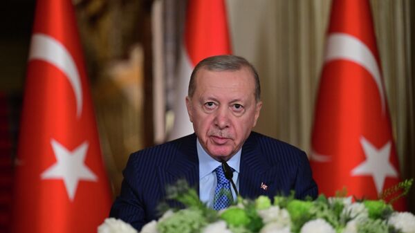 Cumhurbaşkanı Recep Tayyip Erdoğan - Sputnik Türkiye