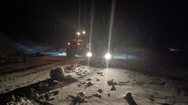 Kar yağışı - Sputnik Türkiye