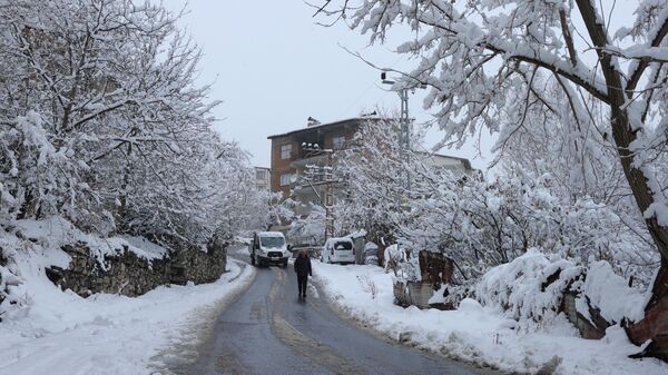 kar - Sputnik Türkiye