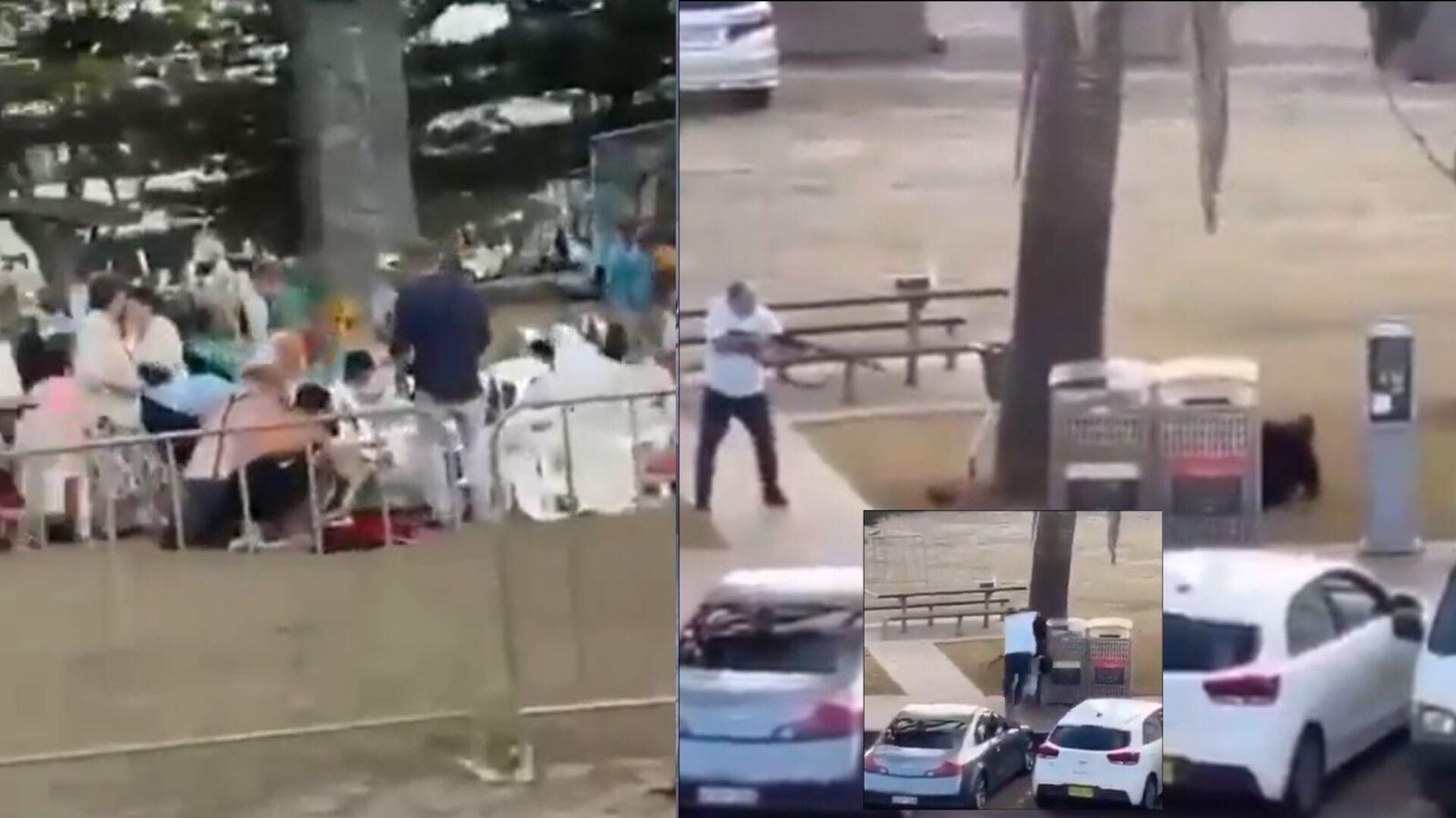 Sidney'deki Bondi Plajı'nda silahlı saldırı Sidney'deki Bondi Plajı'nda silahlı saldırı - Sputnik Türkiye, 1920, 14.12.2025