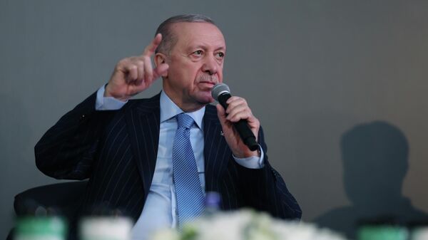 Cumhurbaşkanı Recep Tayyip Erdoğan - Sputnik Türkiye