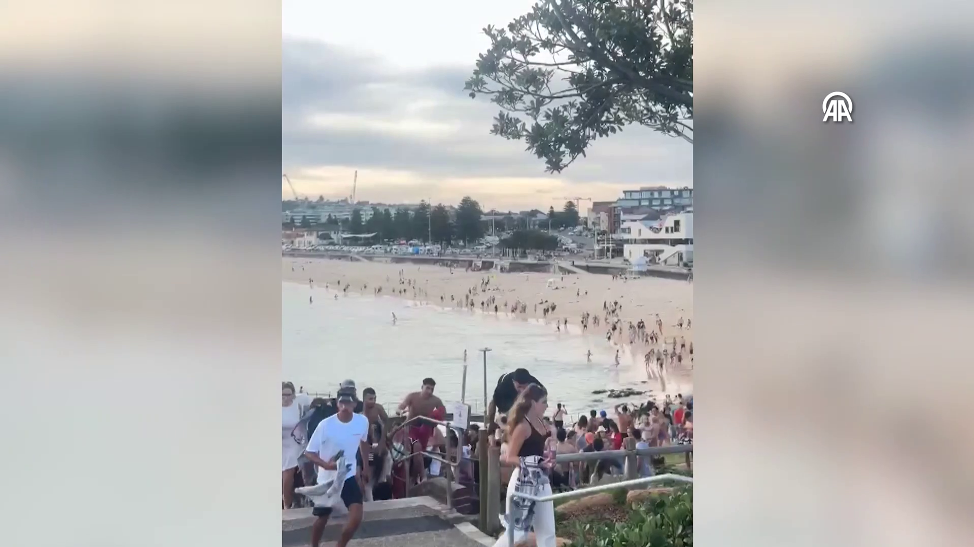 Bondi Plajı toplu silahlı saldırı - Sputnik Türkiye, 1920, 15.12.2025