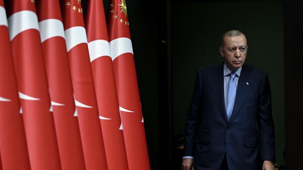 Cumhurbaşkanı Erdoğan - Sputnik Türkiye