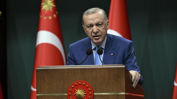 Cumhurbaşkanı Erdoğan - Sputnik Türkiye