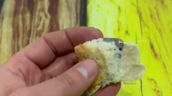 Ekmekten çıkan jilet - Sputnik Türkiye