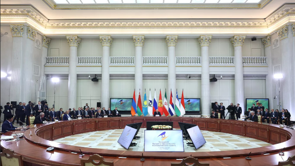 Yüksek Avrasya Ekonomik Konseyi Toplantısı - Sputnik Türkiye