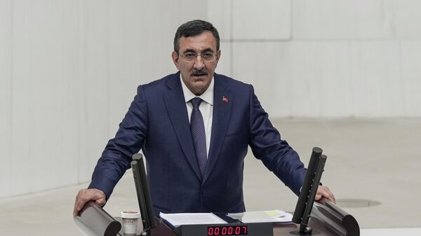 Cumhurbaşkanı Yardımcısı Cevdet Yılmaz - Sputnik Türkiye