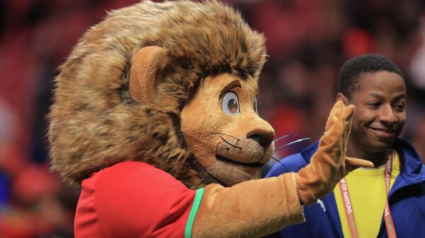 AFCON 2025 - Sputnik Türkiye