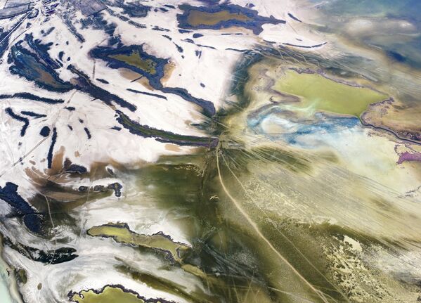 Lagün ekosistemi içinde yer alan bu göller, sulak alan özellikleri sayesinde çok sayıda canlı türüne ev sahipliği yapıyor. - Sputnik Türkiye