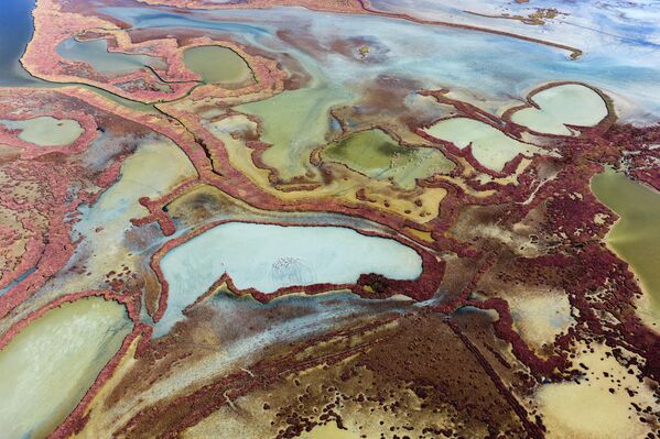 Su yüzeyinde oluşan doğal desenler ve göllerin çevresindeki bitki örtüsü, lagün ekosisteminin özgün yapısını yansıtıyor. - Sputnik Türkiye