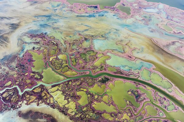 Lagünler, deniz ya da okyanus bağlantısı olan sığ göllerdir. 'Deniz kulağı' ismi de verilen bu göller, dalgalar tarafından oluşturulan kıyı birikimleriyle şekillenir. - Sputnik Türkiye