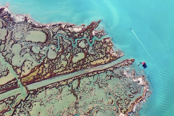 Türkiye'nin en büyük lagün gölü, Seyhan ve Ceyhan nehirlerinin oluşturduğu Çukurova deltasında bulunan Akyatan Gölüdür. - Sputnik Türkiye