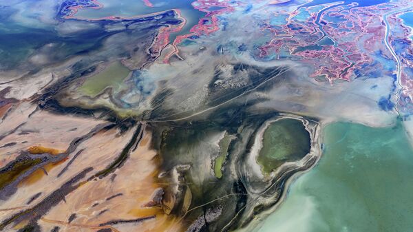 Yumurtalık Lagünü’nde su yüzeyindeki doğal şekiller dikkati çekiyor - Sputnik Türkiye