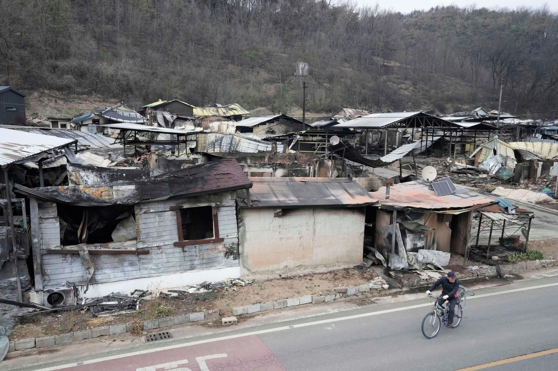 Güney Kore orman yangını Güney Kore orman yangını - Sputnik Türkiye, 1920, 23.12.2025
