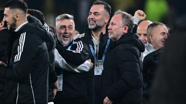 Sergen Yalçın - Sputnik Türkiye