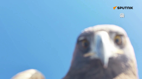 Tunceli - Sputnik Türkiye