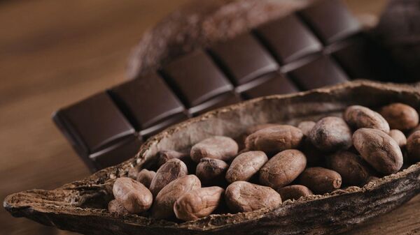 Kahve ve Çikolata - Sputnik Türkiye