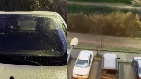 İstanbul kar yağışı  - Sputnik Türkiye