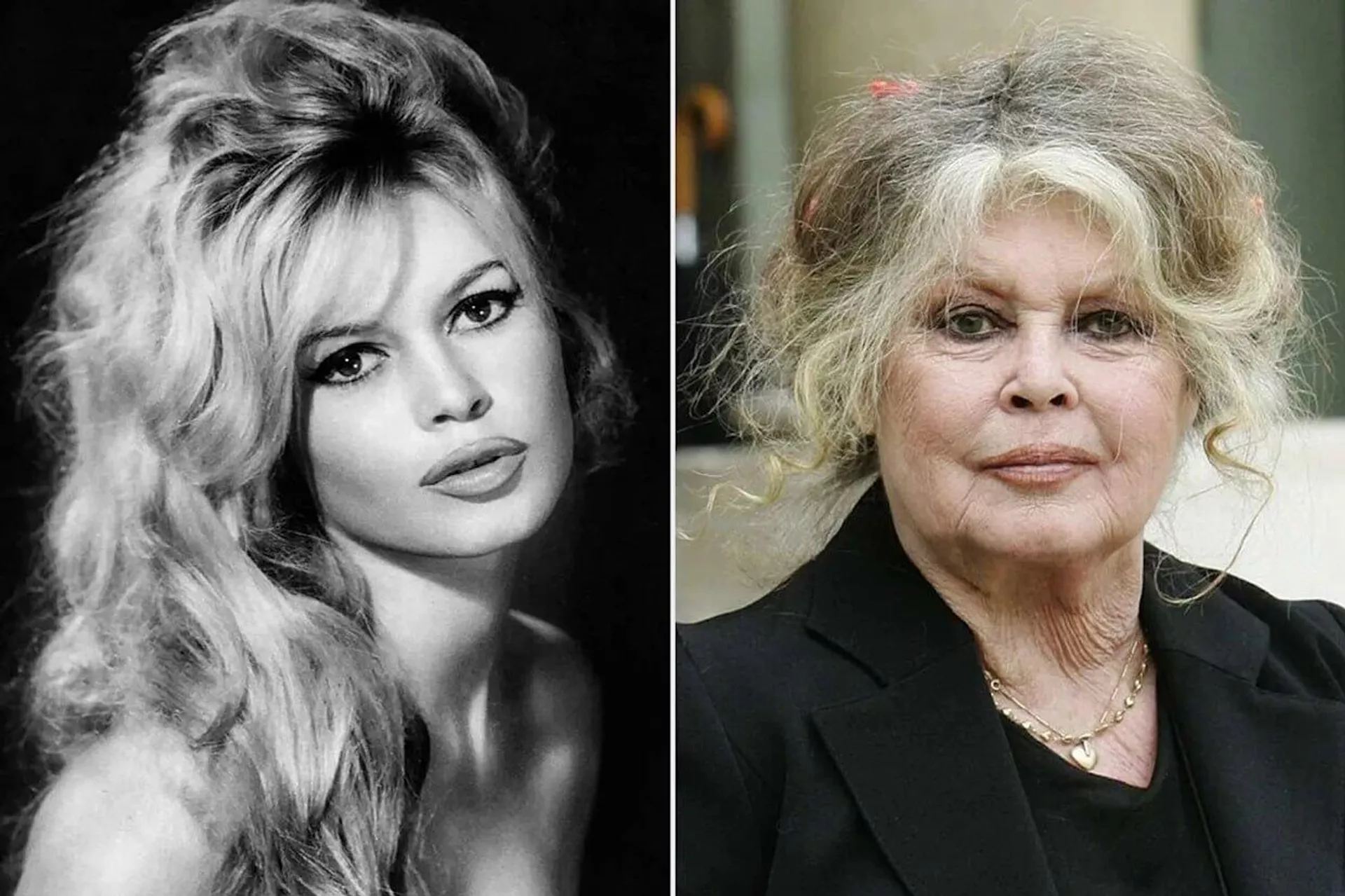 Brigitte Bardot - Sputnik Türkiye, 1920, 28.12.2025