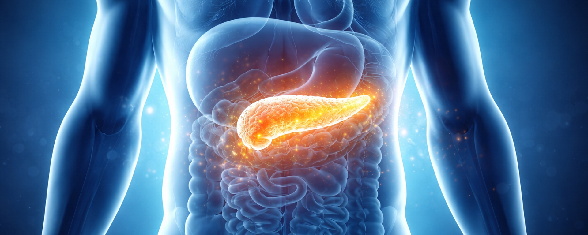 Pankreas - Sputnik Türkiye, 1920, 29.12.2025