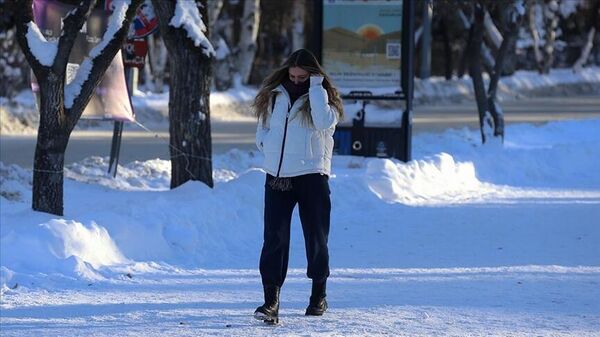 Erzurum sıfırın altında 30,3 dereceyle Türkiye'nin en soğuk ili
 - Sputnik Türkiye
