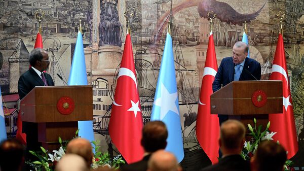 Cumhurbaşkanı Recep Tayyip Erdoğan (sağda) ve Somali Cumhurbaşkanı Hasan Şeyh Mahmud (solda) - Sputnik Türkiye
