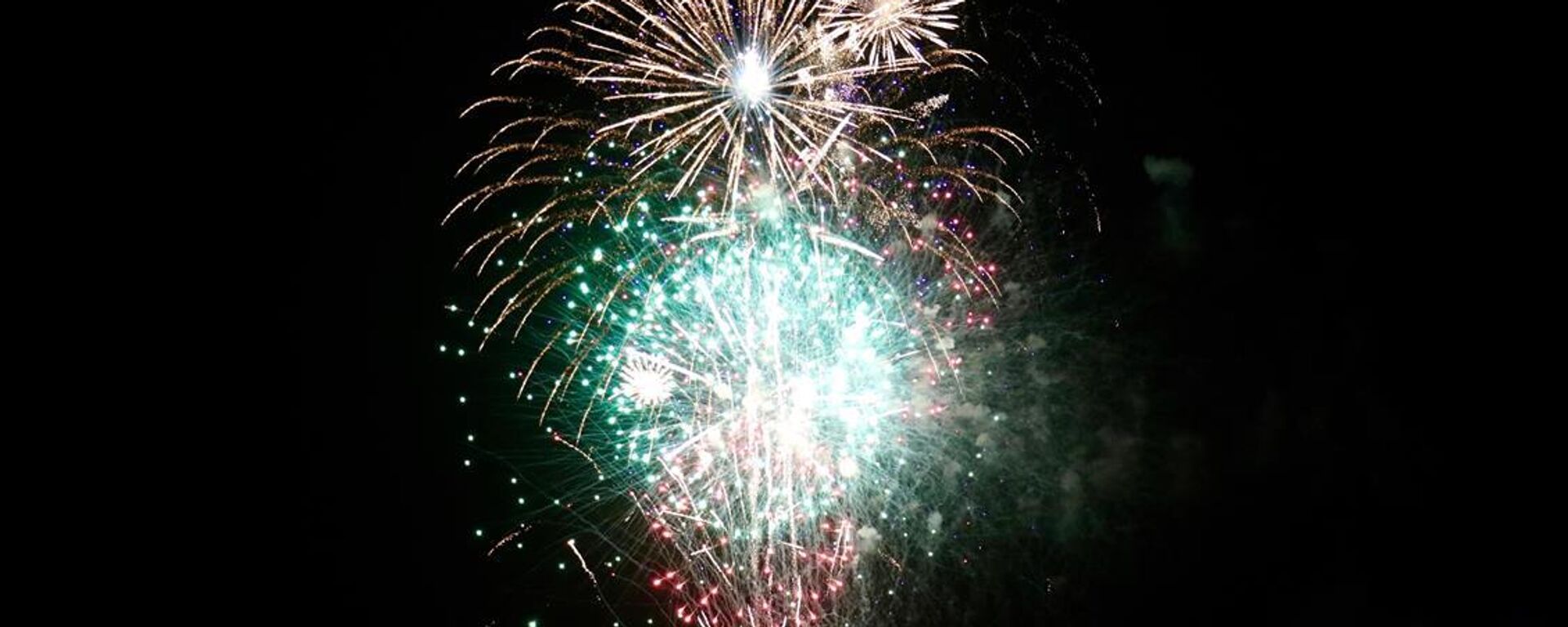 Havai fişek gösterisi - Sputnik Türkiye, 1920, 31.12.2025