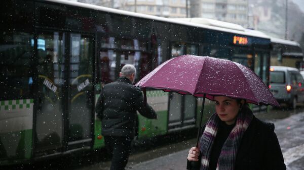 Kar yağışı - Sputnik Türkiye