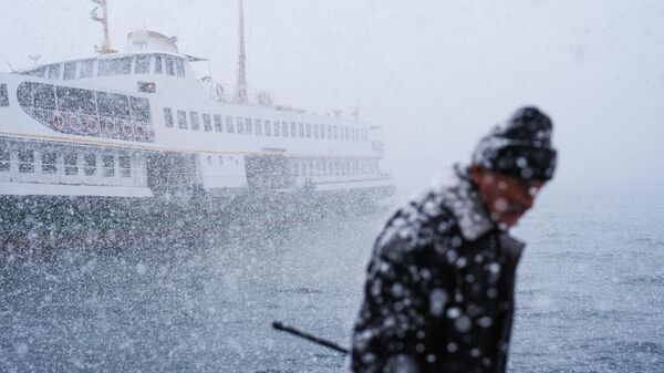İstanbul’da kar ulaşımı vurdu: Şehir Hatları’nda çok sayıda vapur seferi iptal - Sputnik Türkiye