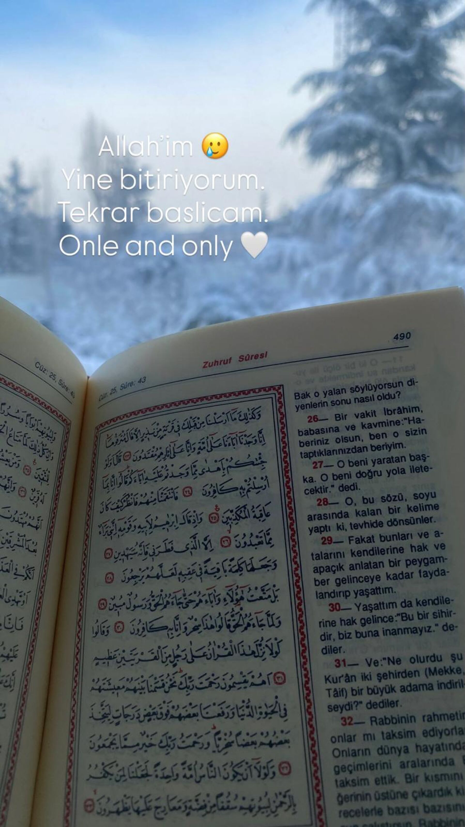 Şeyma Subaşı sosyal medya  - Sputnik Türkiye, 1920, 02.01.2026