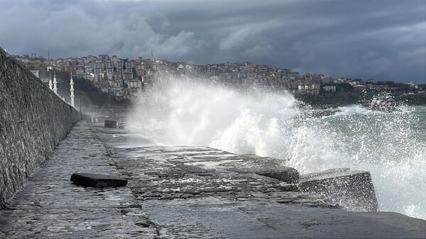 Fırtına - Sputnik Türkiye