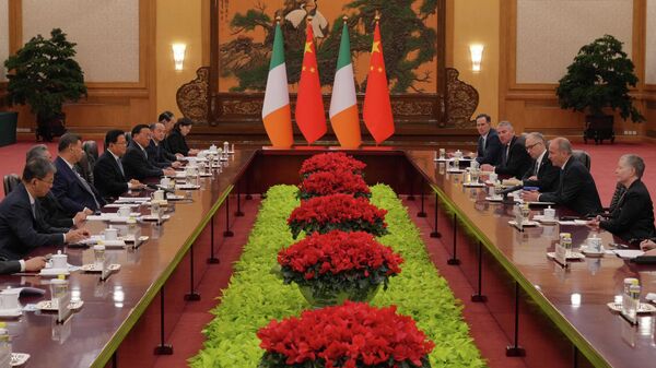 İrlanda Çin görüşme - Sputnik Türkiye