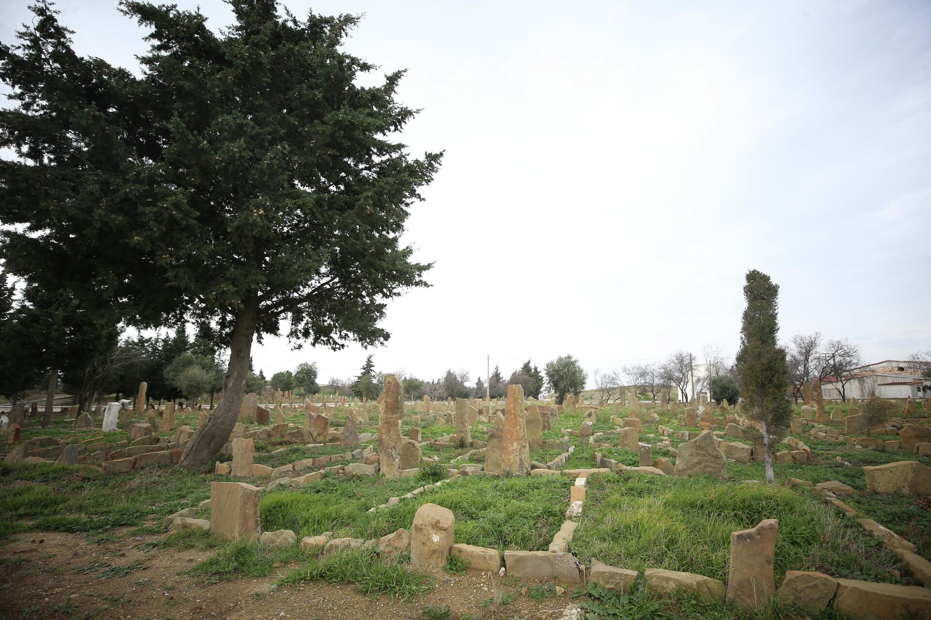 Çanakkale  - Sputnik Türkiye, 1920, 07.01.2026